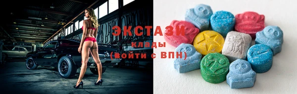 гидра Надым