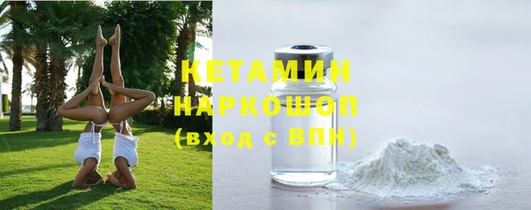 гидра Надым