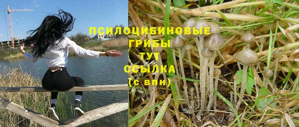 гидра Надым