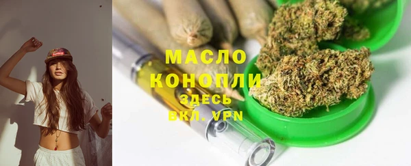 гидра Надым