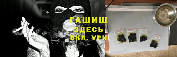 гидра Надым
