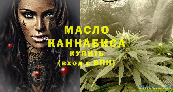 гидра Надым