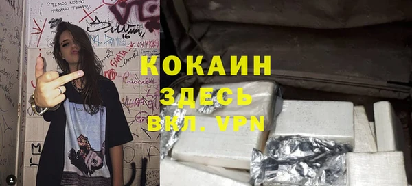 гидра Надым