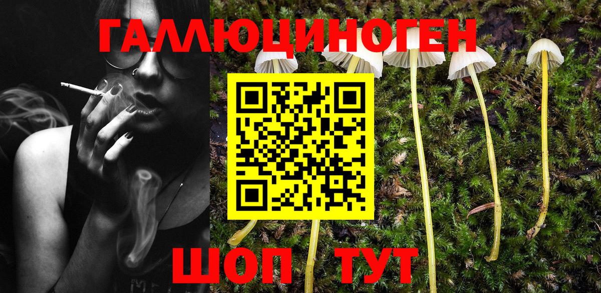 Псилоцибиновые грибы Magic Shrooms  Балтийск  Галлюциногенные грибы GOLDEN TEACHER 