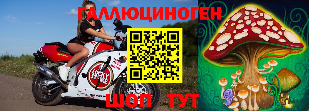 Галлюциногенные грибы ЛСД Балтийск